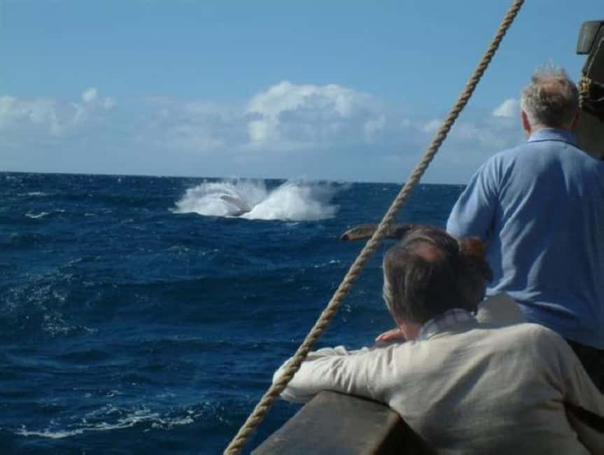 Madeira: Pirate Ship Cruise with Wine and Honey Cake Tasting - Cabo Girão View Stop: Europe’s Highest Sea Cliff by Sea