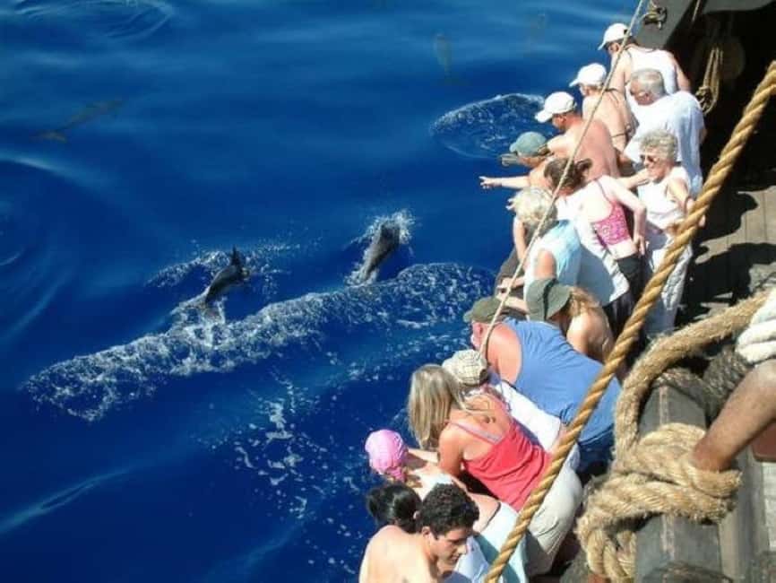 Madeira: Pirate Ship Cruise with Wine and Honey Cake Tasting - Who This 3-Hour Cruise Fits Best, and Who Should Skip It