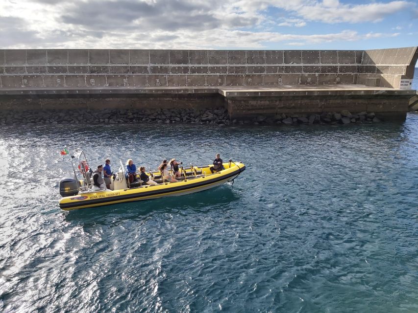 Madeira: Ponta de São Lourenço Lighthouse Boat Tour - Final call: should you book the Madeira Sea Emotions lighthouse boat tour?