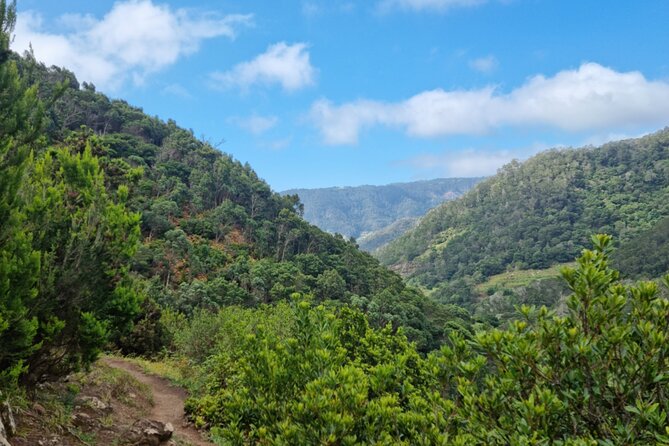 Madeira Porto da Cruz to Machico Self Hiking Tour with Transfer - Weather on Madeira: plan for a change of plans