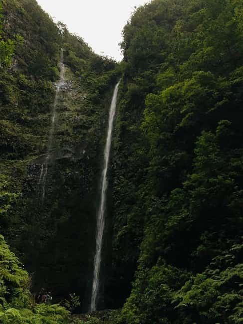 Madeira: PR 9 - Levada do Caldeirão Verde Hike Transfer - The Caldeirão Verde payoff: waterfall lake at about 100 meters