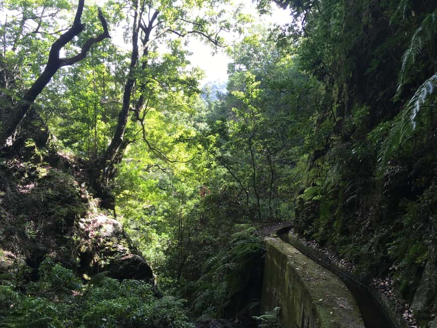 Madeira: PR 9 - Levada do Caldeirão Verde Hike Transfer - Booking advice: should you do this Levada do Caldeirão Verde day?