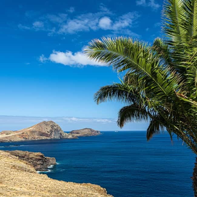 Madeira: PR8 -Ponta de São Lourenço Natural Reserve Transfer - Wildlife and Farol Islets, what to look for besides the big views