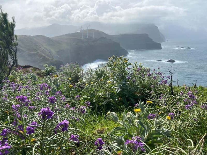 Madeira: PR8 -Ponta de São Lourenço Natural Reserve Transfer - Pickup, host briefing, and the “in the car” value