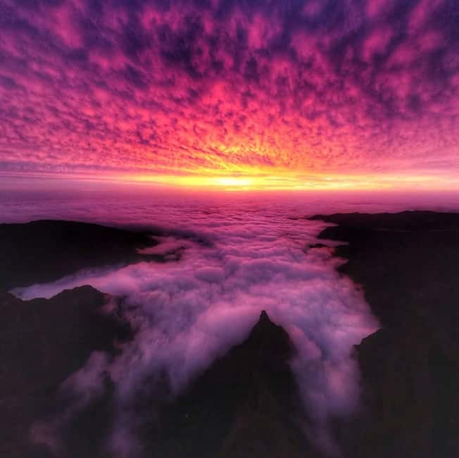 Madeira: Premium 4x4 Adventure Tour - Price and transfers: what $88 covers, and what can add up