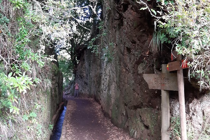 Madeira: Private 1.5-Kilometer Levada dos Balcões Hike PR11 - Balcões Belvedere Views: Pico Ruivo, Pico do Areeiro, and More