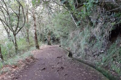 Private 1.5-Kilometer Levada dos Balcões Hike PR11