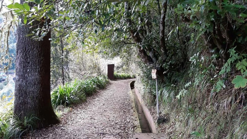 Madeira: Private 1.5-Kilometer Levada dos Balcões Hike PR11 - Price, Inclusions, and Value at About $117 per Person