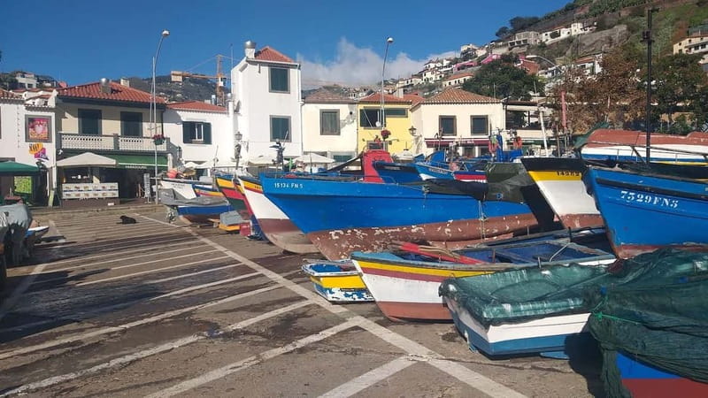 Madeira Private 4-Seater Mercedes VIP - What to Bring So the Day Goes Smoothly