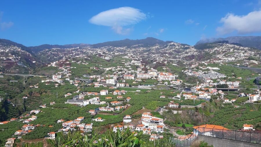Madeira: Private Banana Farm Tour with Pickup - What You Should Bring (And What the Vehicle Rules Mean)