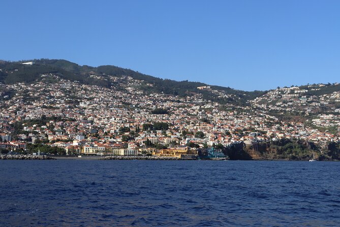 Madeira Private Boat Tour from Funchal - Cliff viewpoint and glass platform: why this stop is worth your time