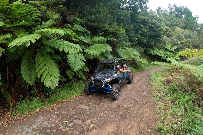 Madeira Private Buggy Adventure: Forest and Mountains - Safety briefing, real instruction, and why it still feels fun