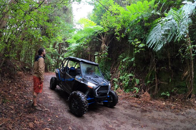 Madeira Private Buggy Adventure: Forest and Mountains - Stop 1: Laurissilva Forest and the point of going off the main roads