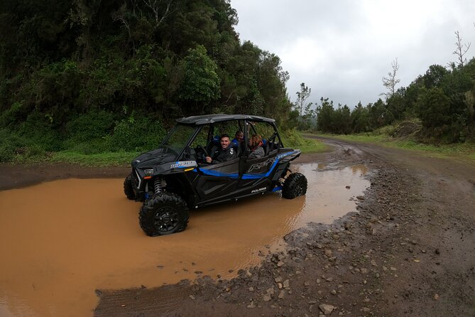 Madeira Private Buggy Adventure: Forest and Mountains - Who the guide makes the difference: the Roberto effect