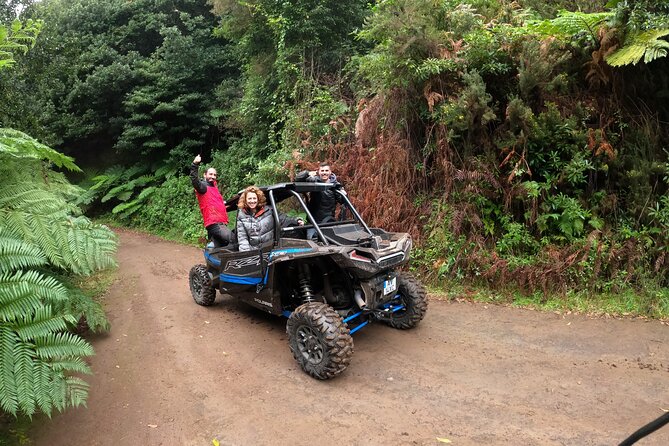 Madeira Private Buggy Adventure: Forest and Mountains - Price and value: what’s included, what you’ll still need