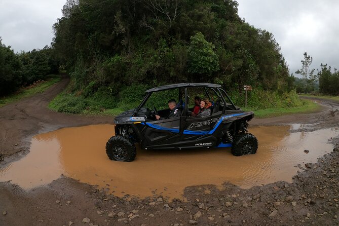 Madeira Private Buggy Adventure: Forest and Mountains - What this tour is best for, and who should pick it