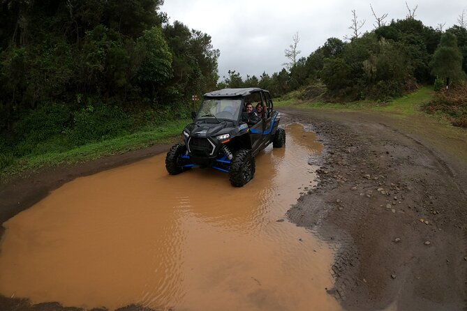 Madeira Private Buggy Adventure: Forest and Mountains - GoPro photos and free media delivery: why this matters for value