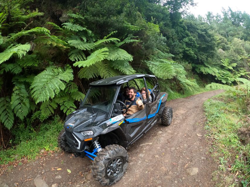 Madeira Private Buggy Adventure: Mountains and Forests - Key Things You’ll Notice on This Buggy Adventure