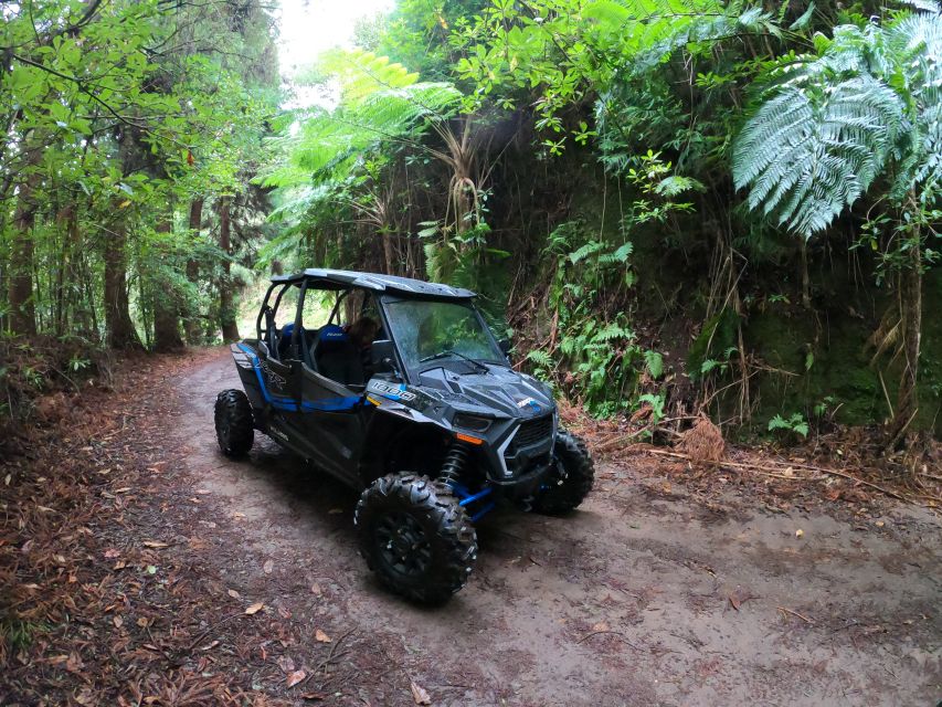 Madeira Private Buggy Adventure: Mountains and Forests - Who This Tour Fits Best, and Who Should Skip It