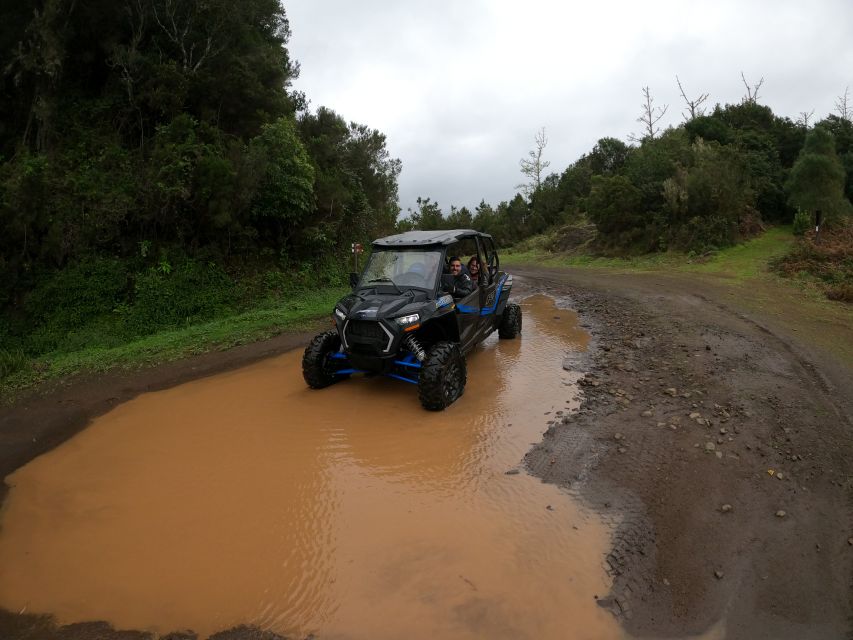 Madeira Private Buggy Adventure: Mountains and Forests - Why This Route Feels Like Two Different Madeiras