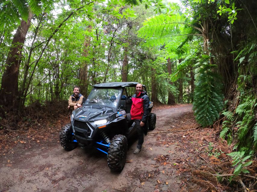 Madeira Private Buggy Adventure: Mountains and Forests - Pico do Suna and the Lamaceiros Lagoon Break
