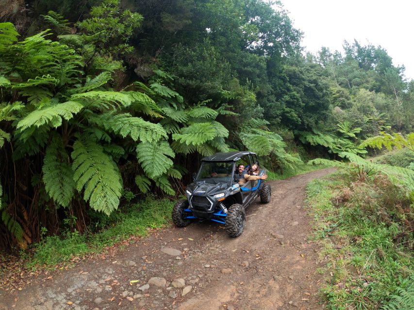 Madeira Private Buggy Adventure: Mountains and Forests - Serra das Funduras Road and the Laurissilva Forest Trail