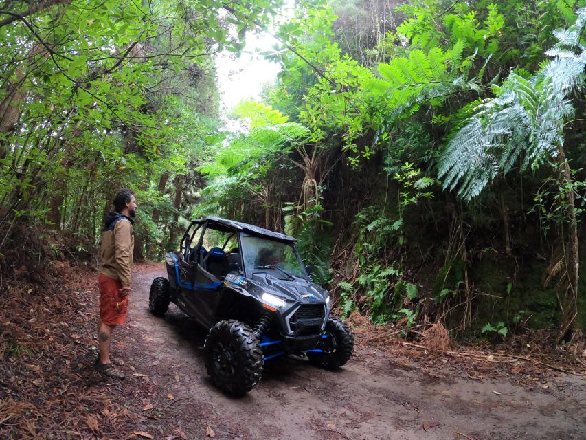 Madeira Private Buggy Adventure: Mountains and Forests - Timing, Dirt Factor, and What to Bring So You Stay Comfortable