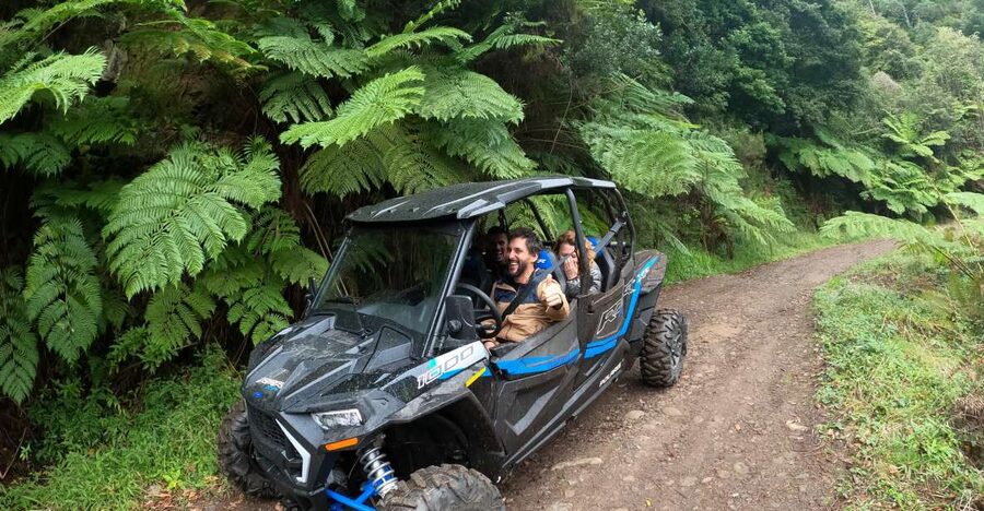 Madeira Private Buggy Adventure: Mountains and Forests - Price and Value: What $212 Covers in a Private Half-Day