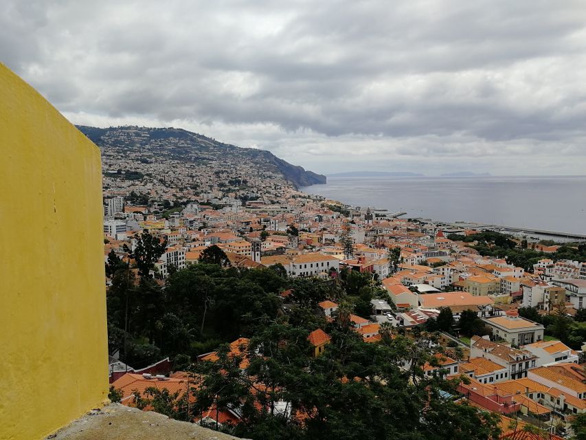 Madeira: Private Funchal City Tour in a Tukxi - Socorro and Villa Guida viewpoints plus Barreirinha Bar Café