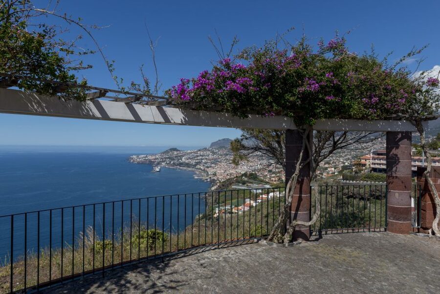 Madeira: Private Garajau Tour by Tukxi - The Blandy family winemaking story: culture stitched into the views