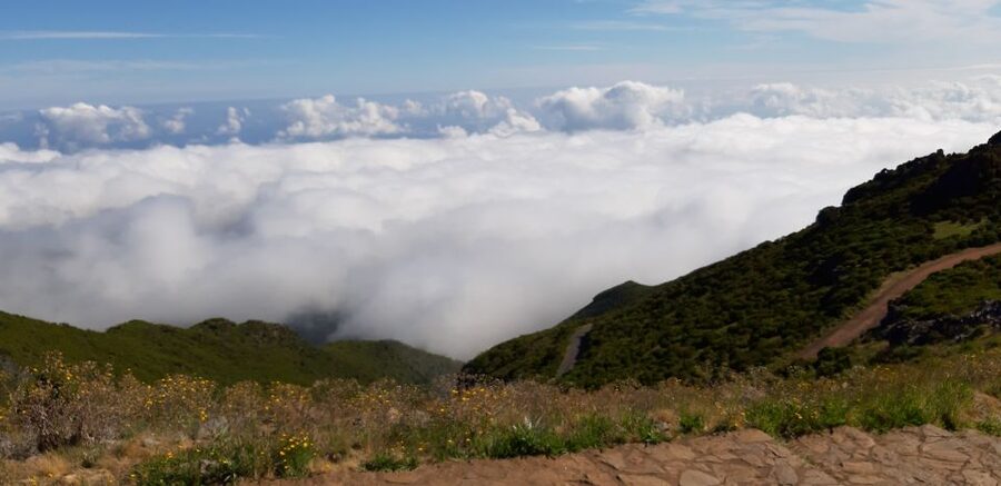Madeira: Private Guided Achadas Teixeira - Pico Ruivo PR1.1 - Key highlights at a glance