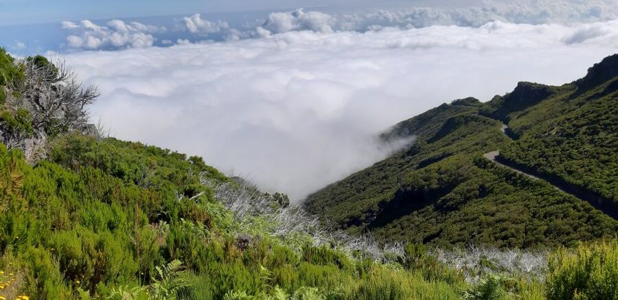 Madeira: Private Guided Achadas Teixeira - Pico Ruivo PR1.1 - From Pier Pick-Up to Pico Ruivo, How the Day Moves