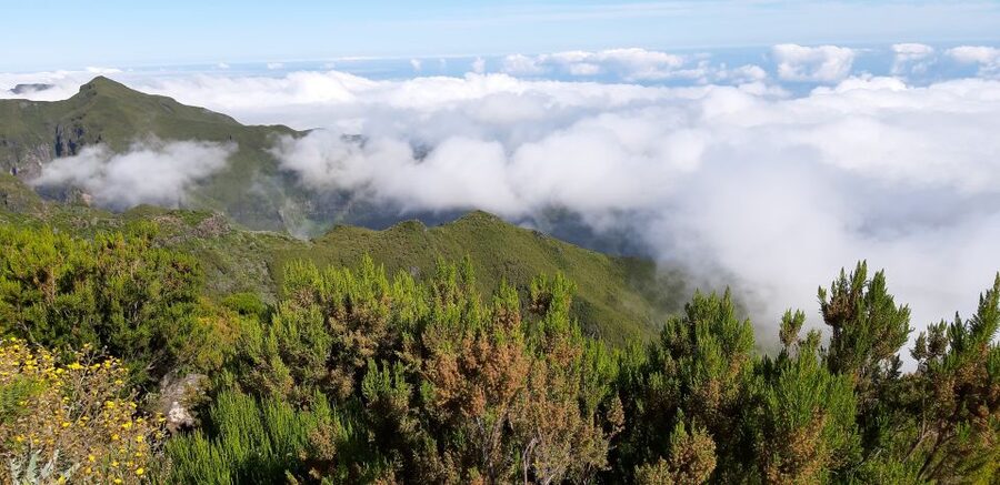 Madeira: Private Guided Achadas Teixeira - Pico Ruivo PR1.1 - What to Bring, What to Wear, and Simple Rules That Keep It Smooth