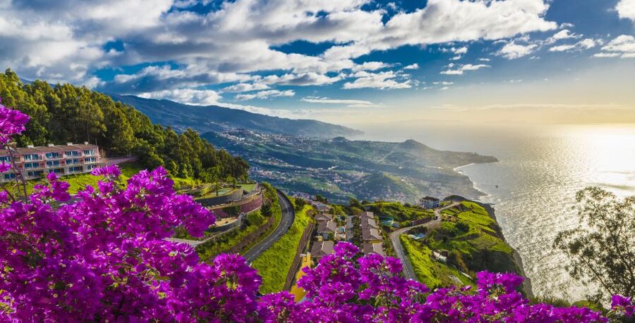 Madeira: Private Guided Cabo Girão Tour - Câmara de Lobos Fishing Village, Churchill Country, and Poncha Breaks
