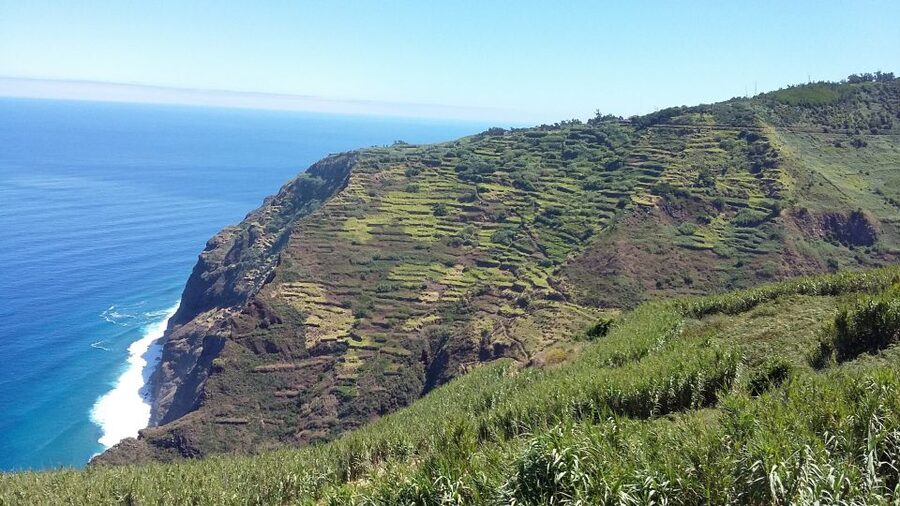 Madeira: Private Guided Half-Day Tour of Northwest Madeira - Chão da Ribeira and the Laurisilva area: why laurel forest matters