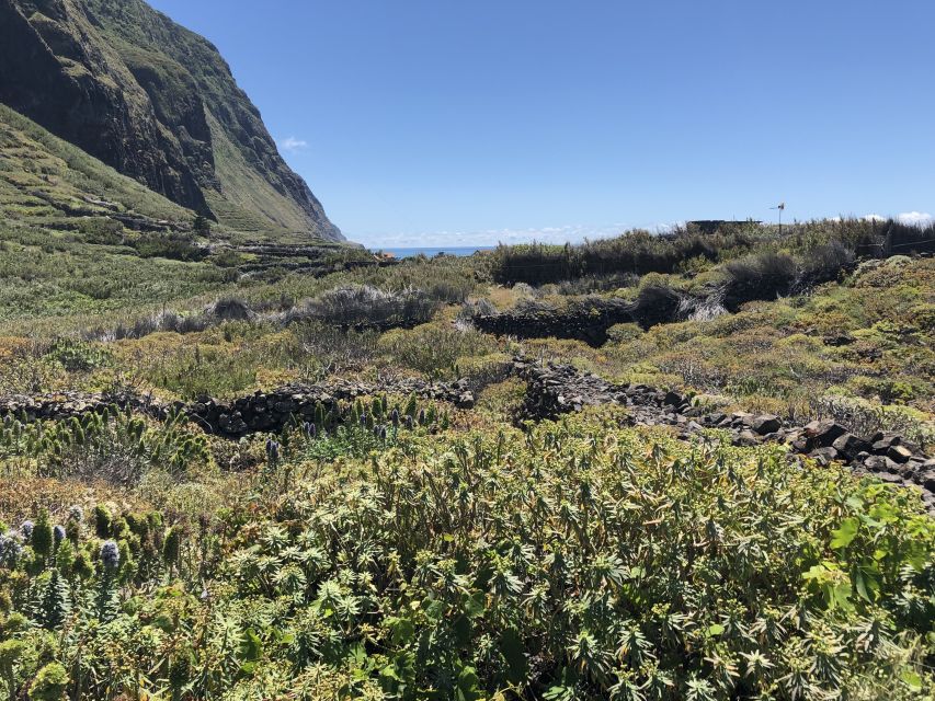 Madeira: Private Guided Half-Day Tour of Northwest Madeira - Pickup from Funchal cruise port or your hotel: how to start with less hassle