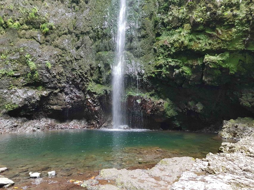 Madeira: Private Guided Levada Caldeirão Verde Walk PR9 - Key Highlights You’ll Care About