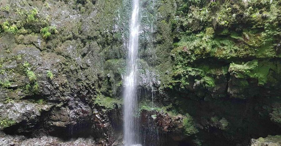 Madeira: Private Guided Levada Caldeirão Verde Walk PR9 - Madeira’s PR9 Walk, from Queimadas to Caldeirão Verde