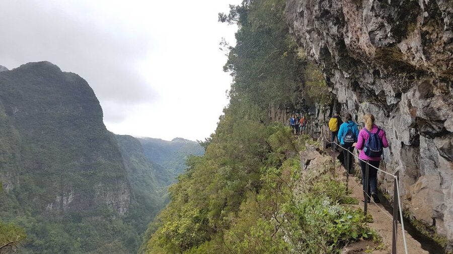 Madeira: Private Guided Levada Caldeirão Verde Walk PR9 - The Pace and Timing Behind the 6-Hour Schedule