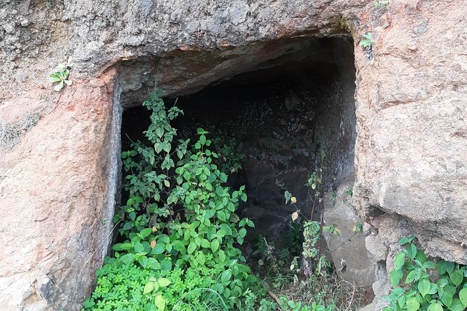 Madeira: Private Guided Levada do Norte Walk - How Guides Shape the Day (Richard or Duarte Style)