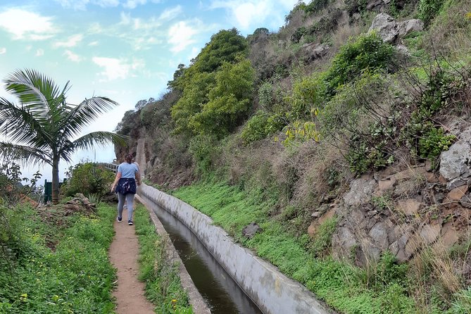 Madeira: Private Guided Levada do Norte Walk - The 5-Hour Rhythm: Easy Pace, Real Time in Nature