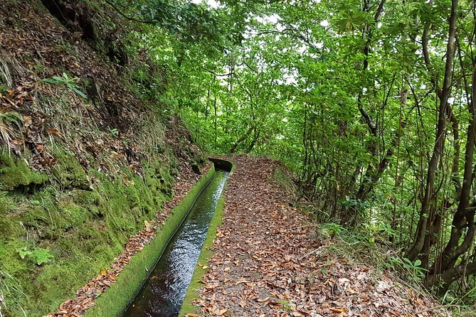 Madeira: Private Guided Levada dos Tornos Boaventura Hike - Why Levada dos Tornos From Boaventura Is Worth Your Time