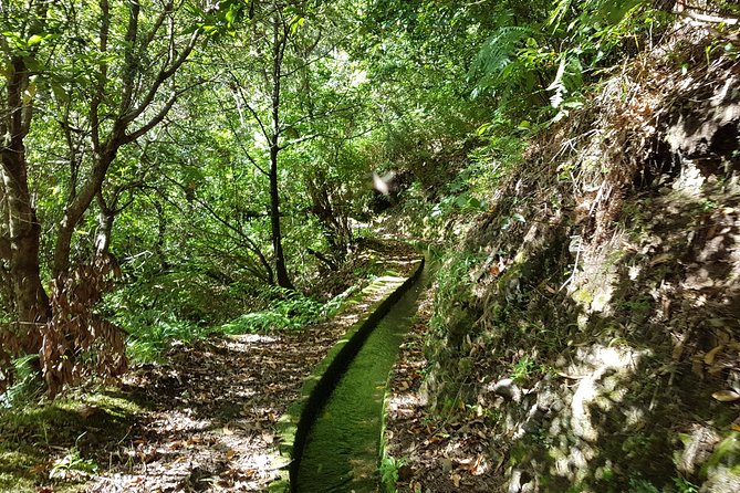 Madeira: Private Guided Levada dos Tornos Boaventura Hike - Pickup, Private Transport, and the Smooth Start