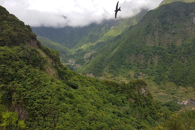 Madeira: Private Guided Levada dos Tornos Boaventura Hike - The Trail Reality Check: Steep Sides, No Hand Rails, and Weather