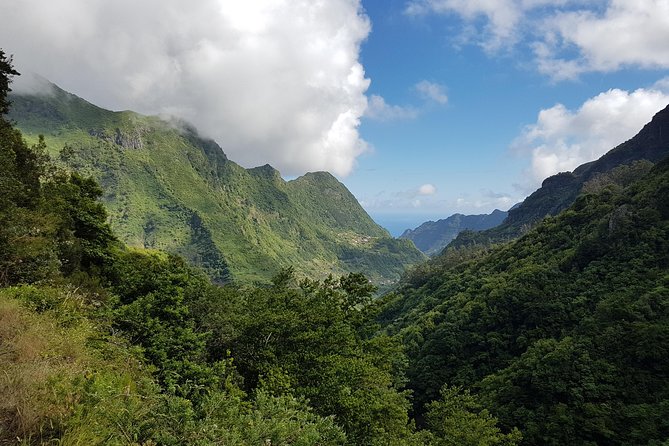 Madeira: Private Guided Levada dos Tornos Boaventura Hike - What Your Guide Adds Beyond the Walk