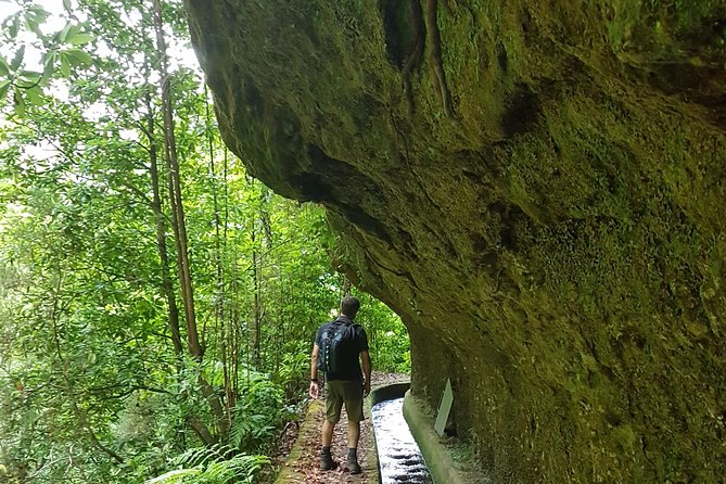 Madeira: Private Guided Levada dos Tornos Boaventura Hike - Views, Waterfalls, and the Green Stuff You’ll Actually Notice