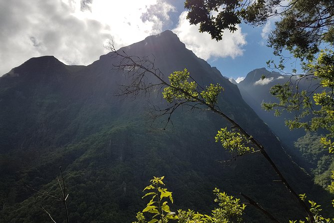Madeira: Private Guided Levada dos Tornos Boaventura Hike - Private Tour Value: Is It Worth $126.98?