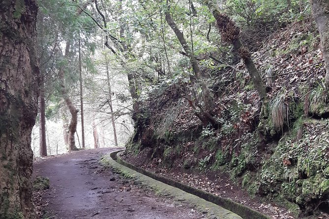 Madeira: Private Guided Tour to Ribeiro Frio and Chão das Feiteiras - Key Highlights You Will Feel on This Madeira Hike