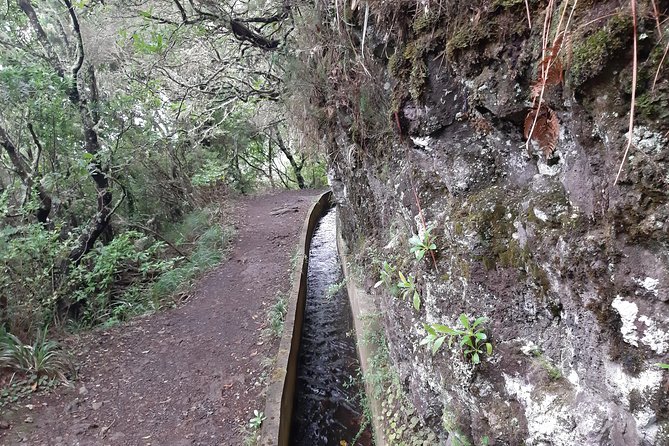 Madeira: Private Guided Tour to Ribeiro Frio and Chão das Feiteiras - Getting To Ribeiro Frio: Easy Pickup From Anywhere on Madeira