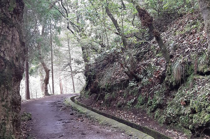 Madeira: Private Guided Tour to Ribeiro Frio and Chão das Feiteiras - Price and Value: Is $114.93 Worth It?
